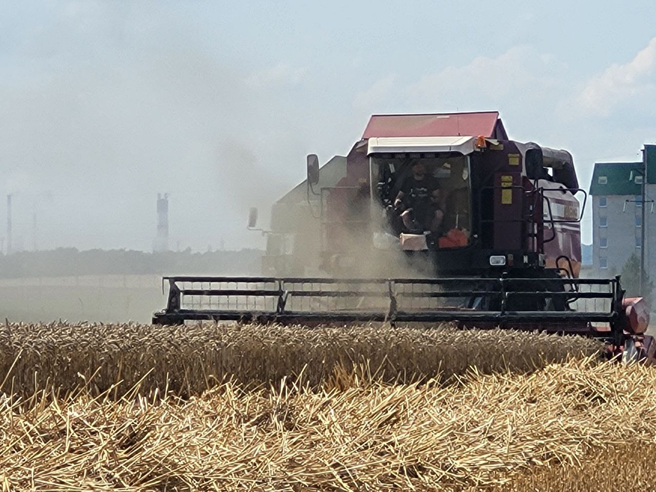 В СПК "Прогресс-Вертелишки" аграрии продолжают собирать урожай.