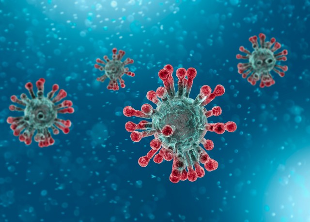 Видеоролики по профилактике коронавируса